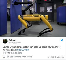 科技 波士頓動力逆天機器人又進化了 機器狗合作開門